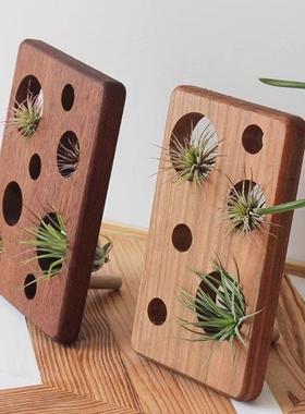 空气凤梨无土绿植相框摆台原木桌面盆栽办公室书房阳台壁画装饰