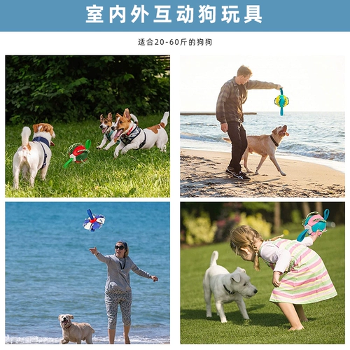 Игрушка, дорожное интерактивное фрисби для тренировок, футбольный трансформер, домашний питомец