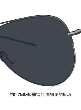 暴龙眼镜偏光太阳镜驾驶开车墨镜