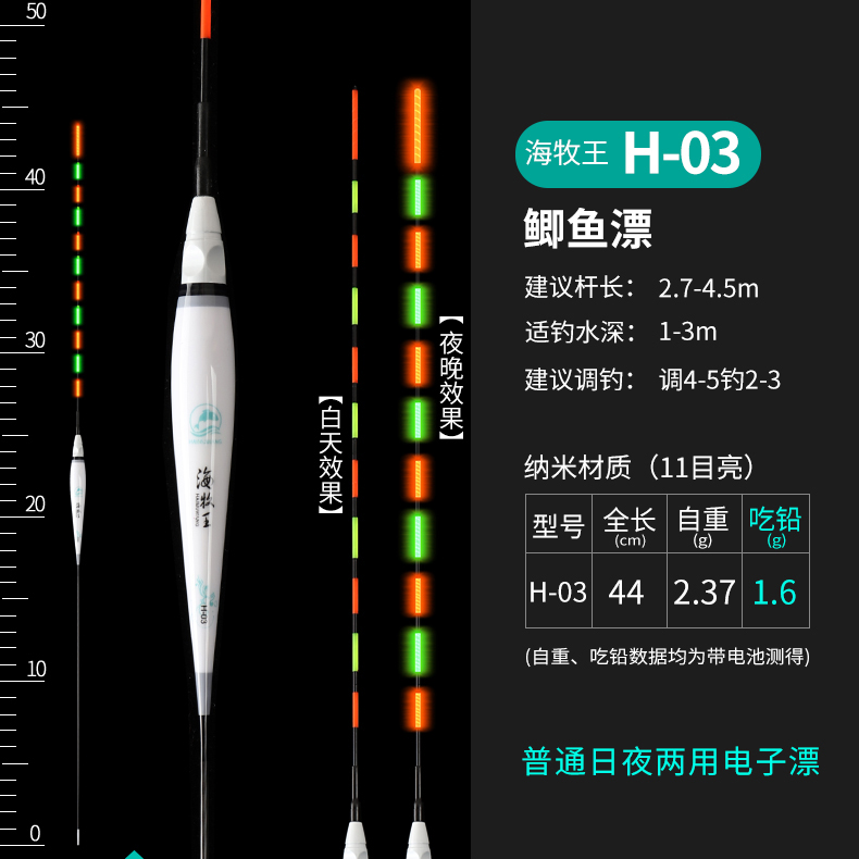 高灵敏日夜两用夜光漂超亮醒目夜钓电子漂纳米鱼漂鲫鱼漂库钓鲤鱼 - 图1