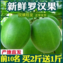Fresh grosvenori raw fruit now removed from the grosvenori fruit grosvenori fruit grosvenori bubble water Yongfu origin direct