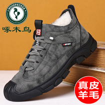 Woodpecker cotton shoes mens winter warm and thickened wool outdoor genuine leather high help anti-chilling Northeast snow boots non-slip