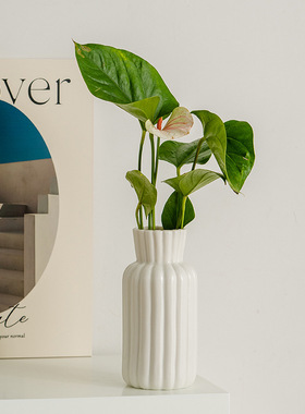 白色北欧简约陶瓷干花鲜花花瓶水培家居客厅餐桌插花摆件花器
