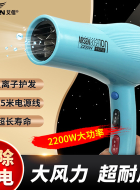 艾信8058负离子静音大风力吹风机