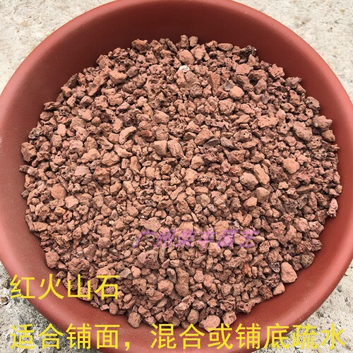 多肉 兰花 盆景用颗粒介质 颗粒土 火山石 硅藻土 绿沸石 麦饭石 - 图1