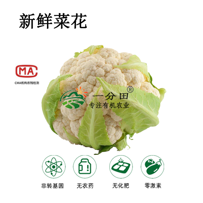 一分田新鲜菜花有机花菜新鲜蔬菜蔬菜配送【顺丰速运】500g-图0