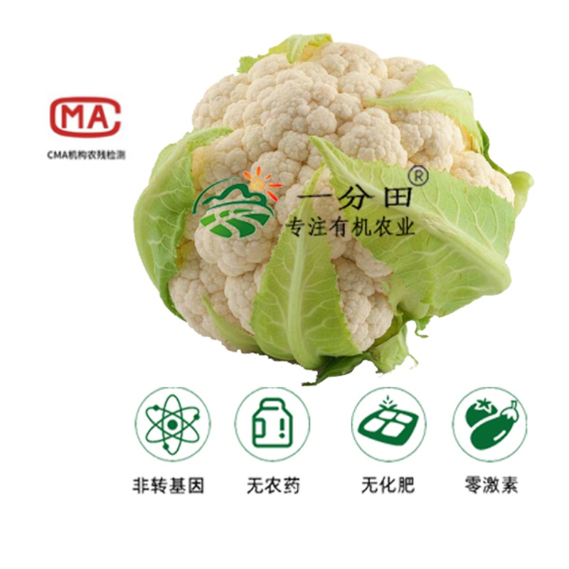 一分田新鲜菜花有机花菜新鲜蔬菜蔬菜配送【顺丰速运】500g-图1