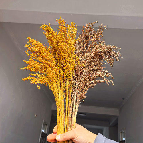 高粱束高粱干花仿真装饰花 田园农家乐场景布置 稻穗麦穗五谷粮食 - 图3
