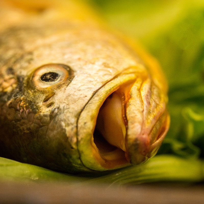 青岛海捕大黄花鱼新鲜 海鲜水产鲜活宝宝一条的价格 3斤包邮顺丰,淘宝优惠券,粉丝福利购,淘宝优惠卷