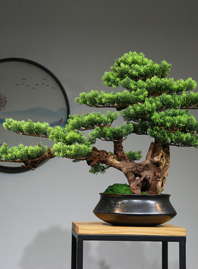 迎客松客厅盆景实木新中式