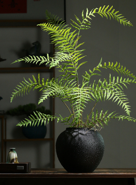 仿真绿植蕨类植物盆景客厅摆件