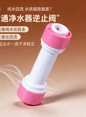 世通2分快接逆止阀RO膜壳配件