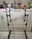 ຂະໜາດນ້ອຍ 5cm clearance universal tool stand embroidery