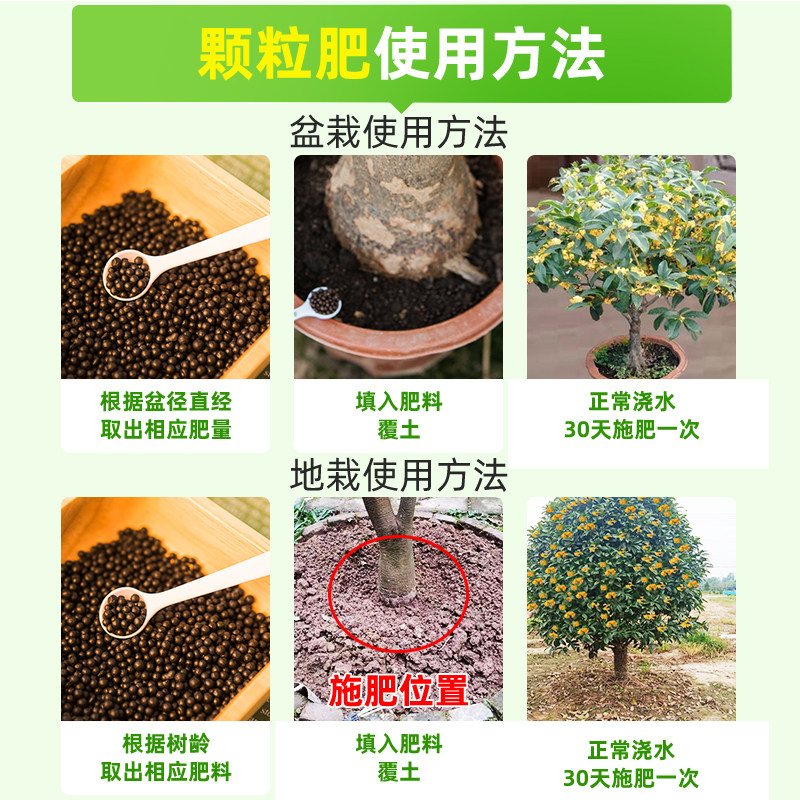 桂花树肥料专用肥桂花专用肥营养液盆栽养护黄叶养护生根养花家用,淘宝优惠券,粉丝福利购,淘宝优惠卷