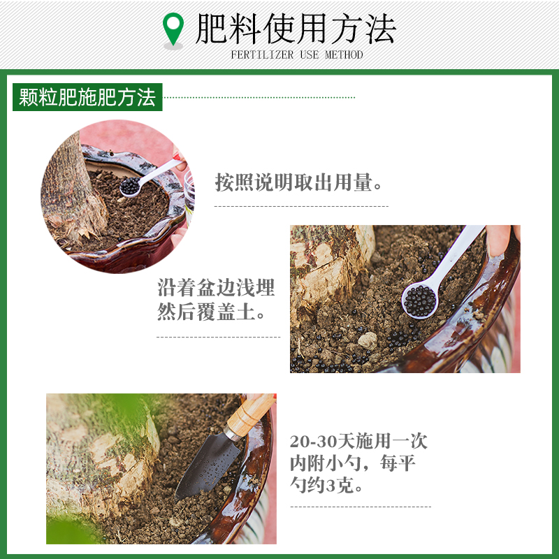 君子兰专用肥君子兰肥料营养液家用盆栽花肥养花促开花防黄叶兰花-图3