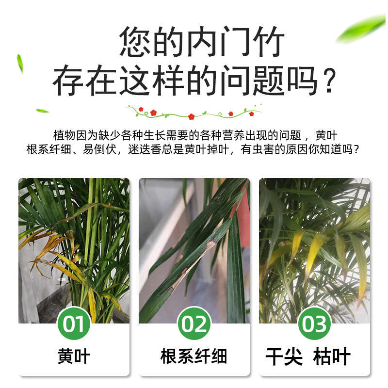 商品详情图片