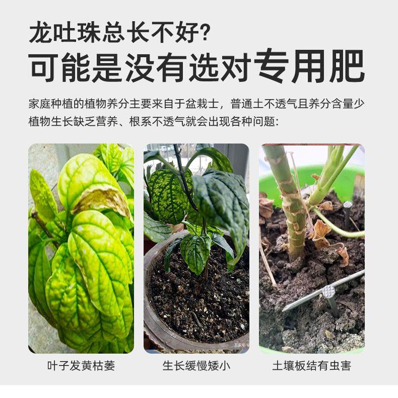 龙吐珠肥料专用肥绿叶营养液盆景盆栽室内室外花草有机肥家庭四季,淘宝优惠券,粉丝福利购,淘宝优惠卷