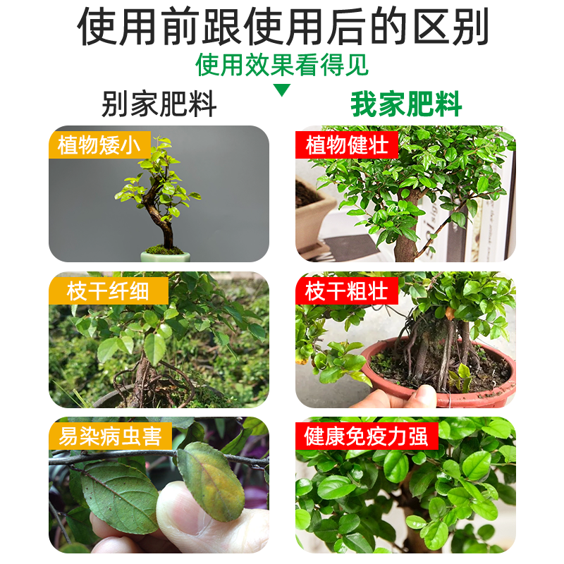 雀梅肥料雀梅藤树苗专用肥料酸色子雀梅老桩盆景专治叶子发黄掉叶,淘宝优惠券,粉丝福利购,淘宝优惠卷