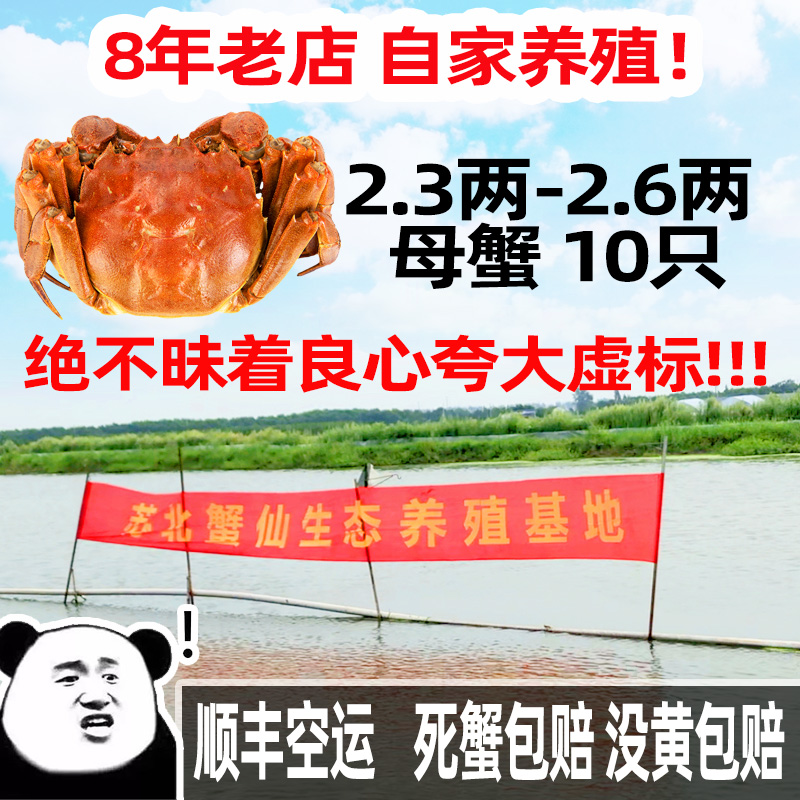 兴化大蟹红膏大闸蟹礼盒包装活螃蟹超大全母鲜活特大六月黄母蟹 - 图0