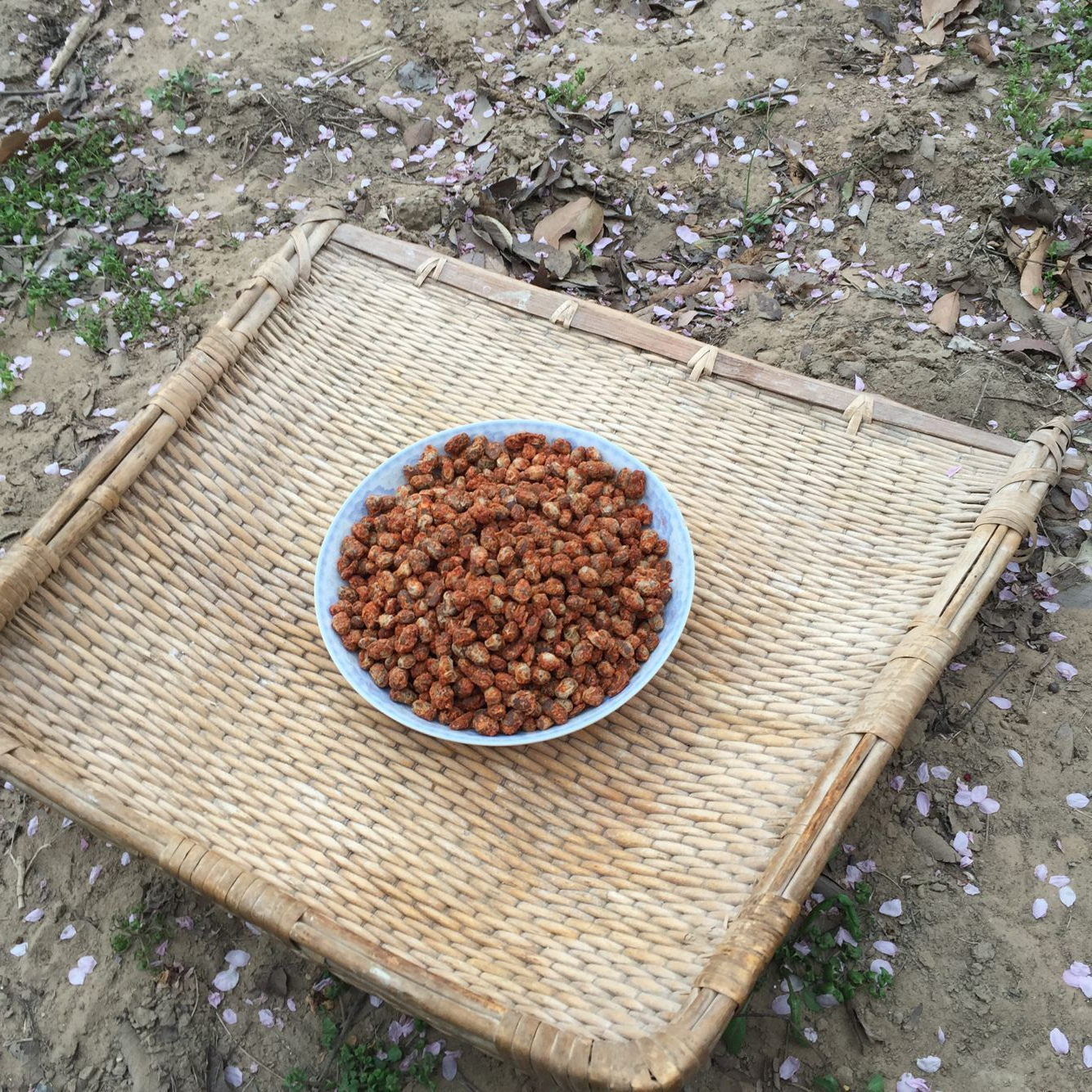 盐酱豆香辣微辣苏北泗阳土特产农家手工制作草捂晒干酱豆子 包邮