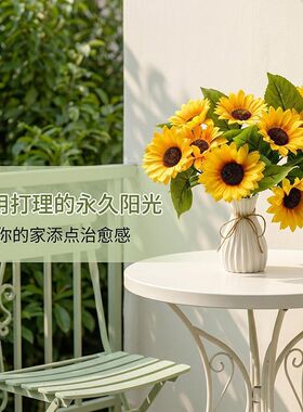 花朵直径约10厘米-高45厘米左右