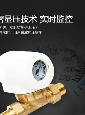 前置过滤器去除可冲洗中央净水机