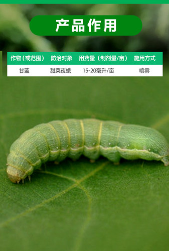 大厂正品10%虱螨脲虱满尿杀虫剂甘蓝甜菜夜蛾农用药杀卵打虫药 - 图3
