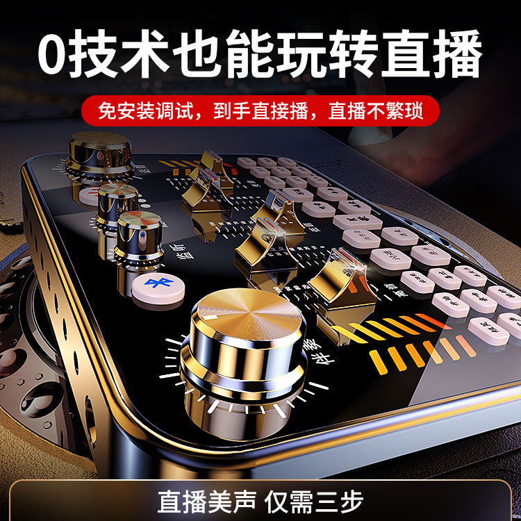 V19直播声卡设备全套主播录音唱歌专用电脑手机通用k歌麦克风 - 图0