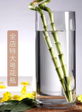 落地摆件花瓶大号玻璃富贵竹客厅富贵特大号家用鲜花透明插花直筒