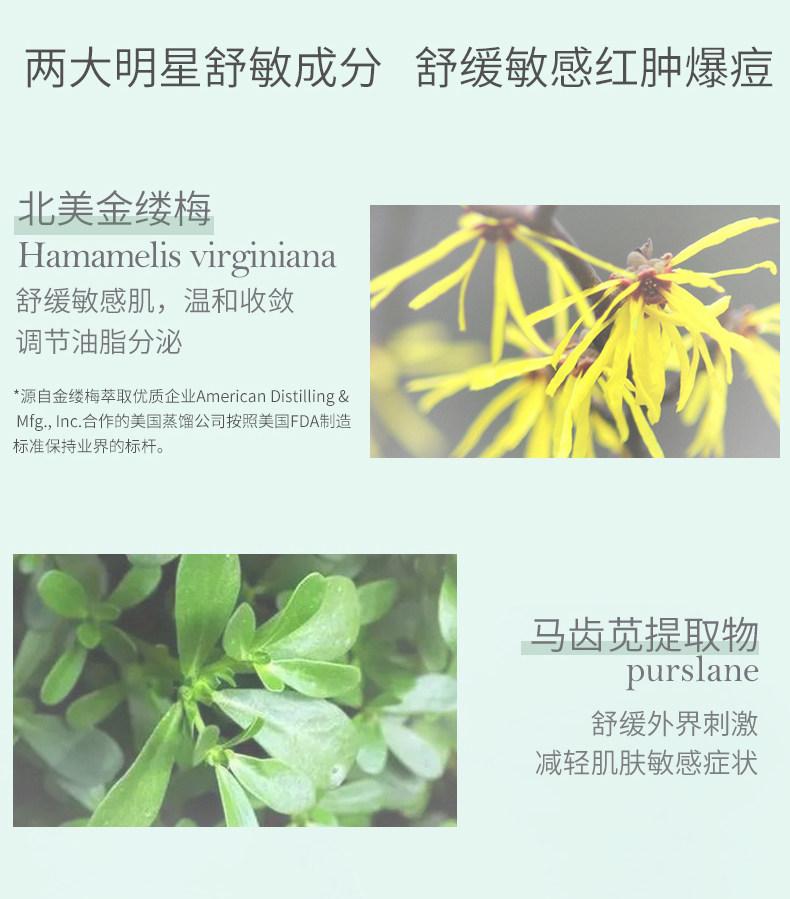 [井胧同款]善草纪清影控油爽肤水 善草纪化妆水/爽肤水