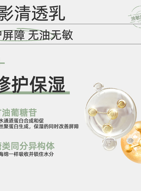 善草纪同款清影茶树强韧保湿乳液