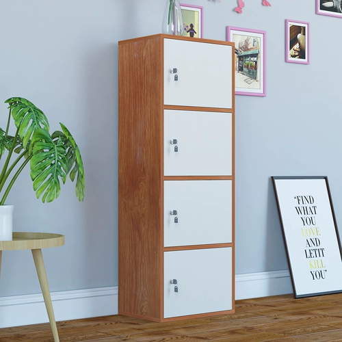 Простая дверь ремня шкафа с замками шкафчик