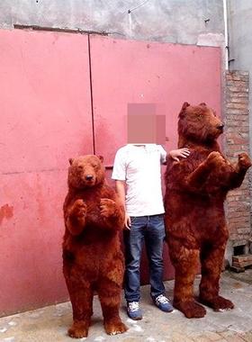 仿真棕熊黑熊白熊门市招财展厅摆件皮毛动物狗熊模型1比1棕熊标本