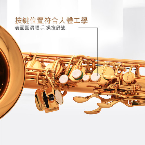 台湾圣威尔乐器TS-880次中音萨克斯风管乐器降b调萨克斯乐器 - 图3