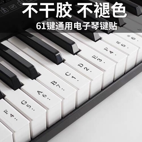 自学钢琴键盘贴纸61手卷电子琴88键简谱按键音标数字透明键位贴 - 图0