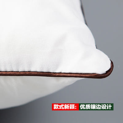 高档羽丝绒抱枕芯靠枕十字绣沙发靠垫芯4550606570定做定制 - 图0