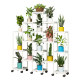 Plastic balcony pothos succulent flower stand with wheels