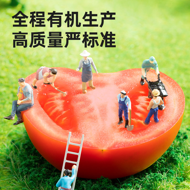 海天有机番茄沙司305g零添加番茄酱酸甜味家用商用袋装酱料,淘宝优惠券,粉丝福利购,淘宝优惠卷