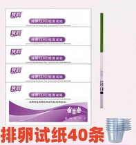 Ovulation test paper 40 strips of test womens ovulation Ovulation Easy Pregnancy Easy Pregnancy Detector Follicle Test Note Pen