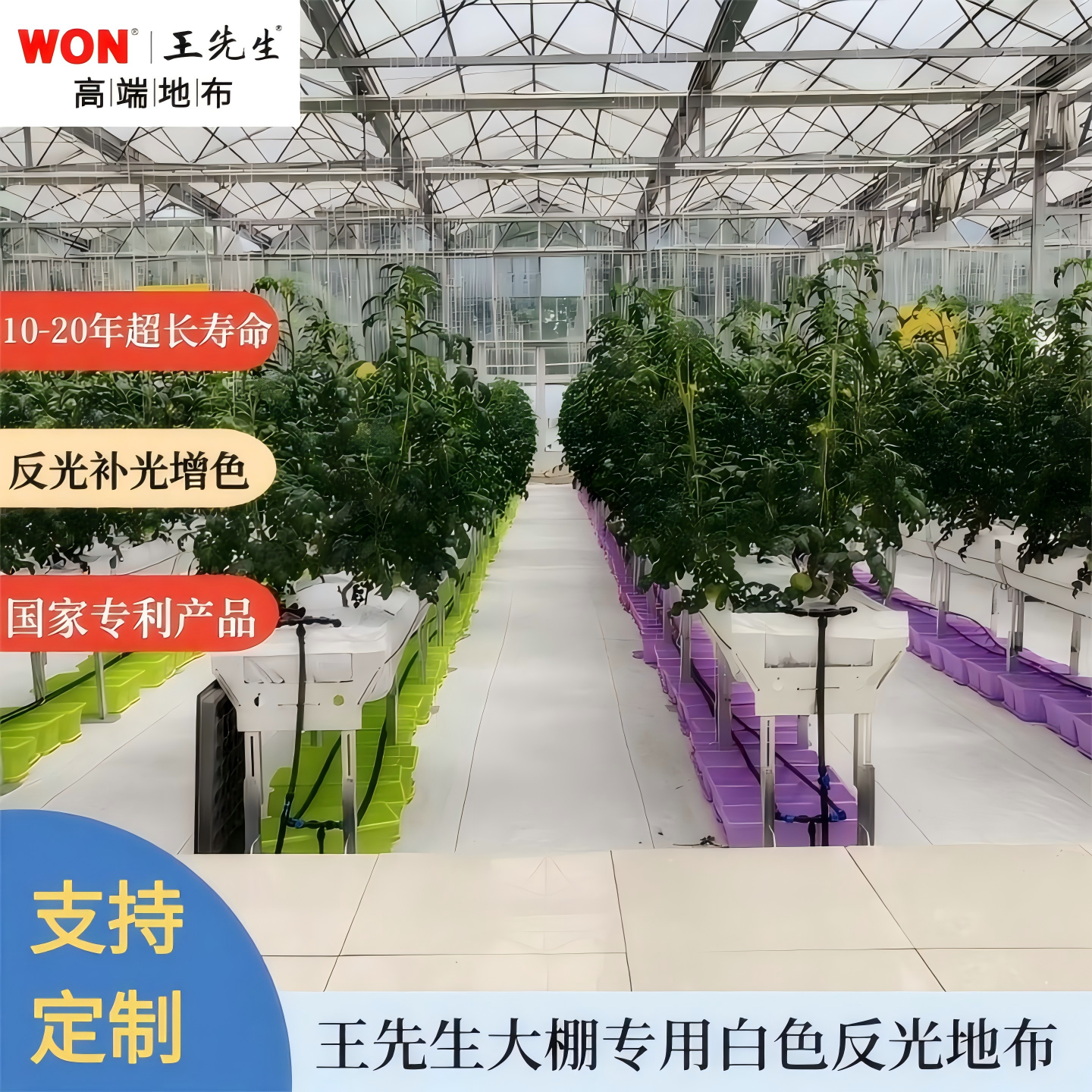 王先生白色地布温室大棚番茄草莓防草布除草布耐用白色反光防草布,淘宝优惠券,粉丝福利购,淘宝优惠卷