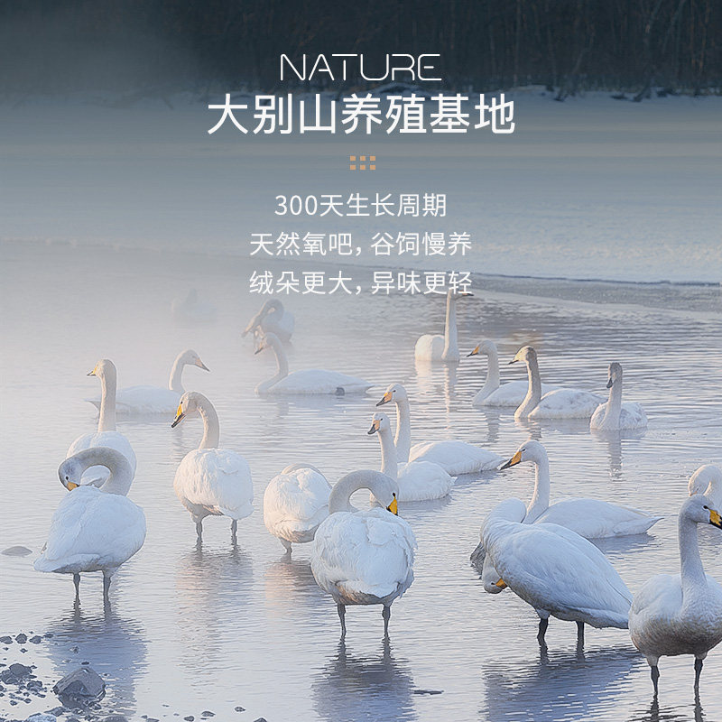 霞珍羽绒被夏凉被可水洗白鹅绒被子夏季被子机洗被芯单双人薄被子