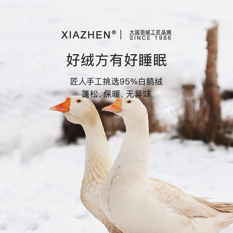 霞珍羽绒被95白鹅绒春秋被双人冬被五星级酒店被子四季被抗菌被芯