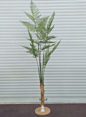 蕨类植物仿真盆栽假绿植蕨类造景组合景观蕨树蕨叶装饰塑料花大型