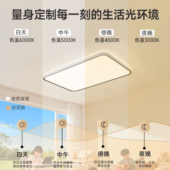 FSL Foshan Lighting Living Room Ceiling Light
