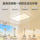 FSL Foshan Lighting Living Room Ceiling Light
