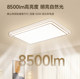 Foshan Lighting Nordic Light Luxury Ceiling Lamp Smart