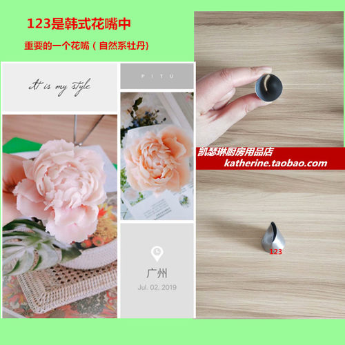 国产各种长用自然系韩式花裱花嘴101  102  103  104  125K124k - 图3