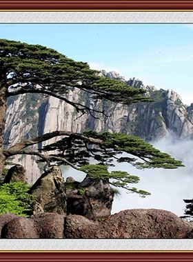 粘贴沙发定制尺寸黄山迎客松