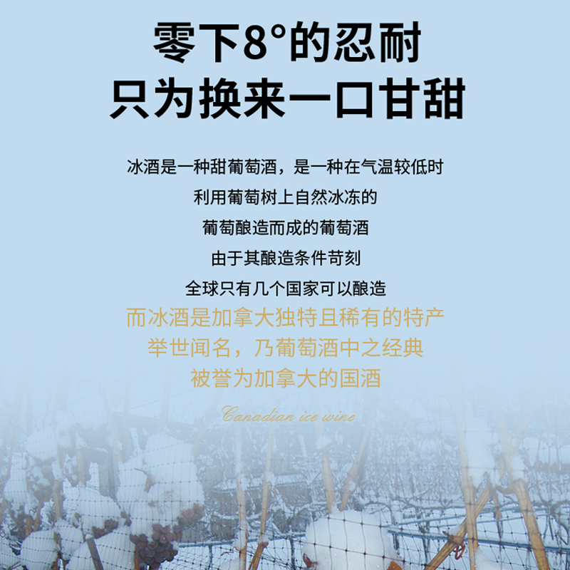 加拿大VQA认证冰酒（ICEWINE）KIRINYA维代尔冰白葡萄酒 +2香槟杯 - 图2