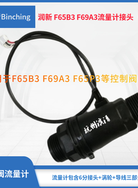 滨清  润新控制阀流量计F65B3 F69A3 F65P3 F69P3流量计接头6分口
